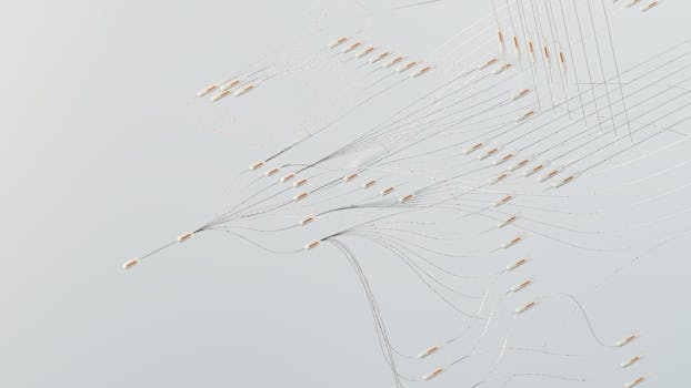 neural network