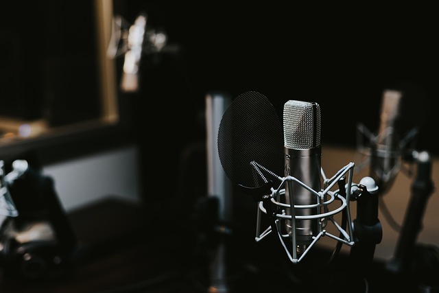 voice recorder