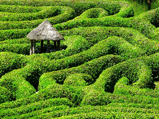 maze