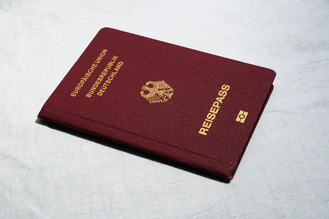 protocol document