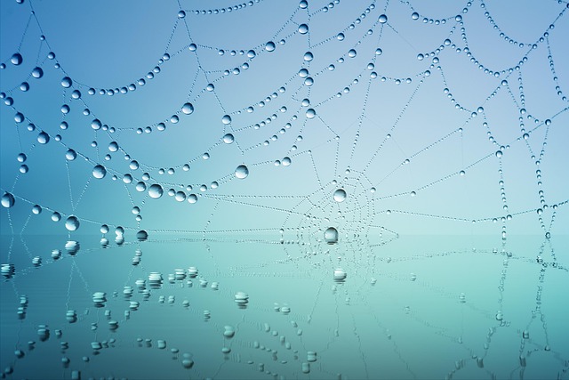 neural network