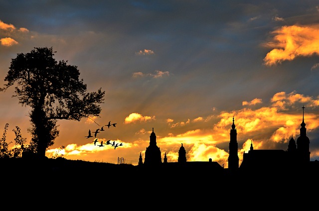 housing silhouette