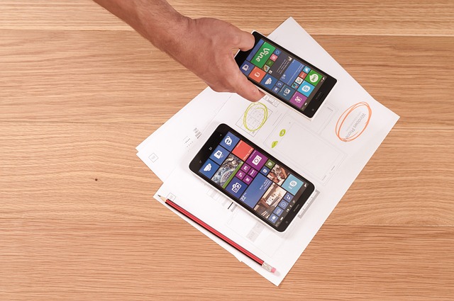 developer device