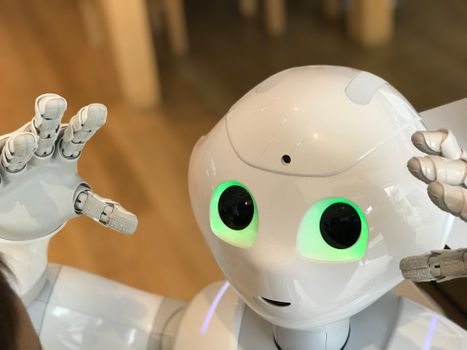 human robot