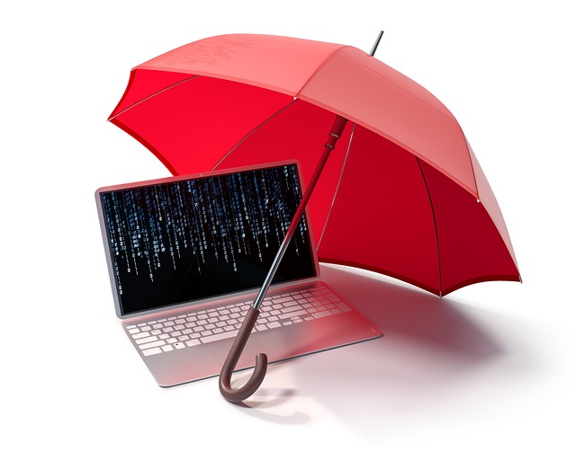 security shield
