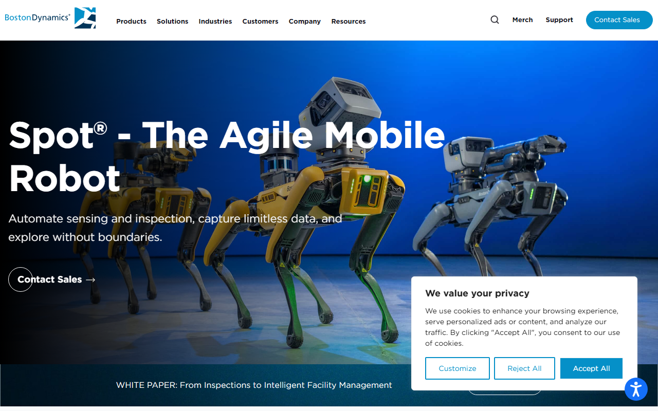 Boston Dynamics screenshot