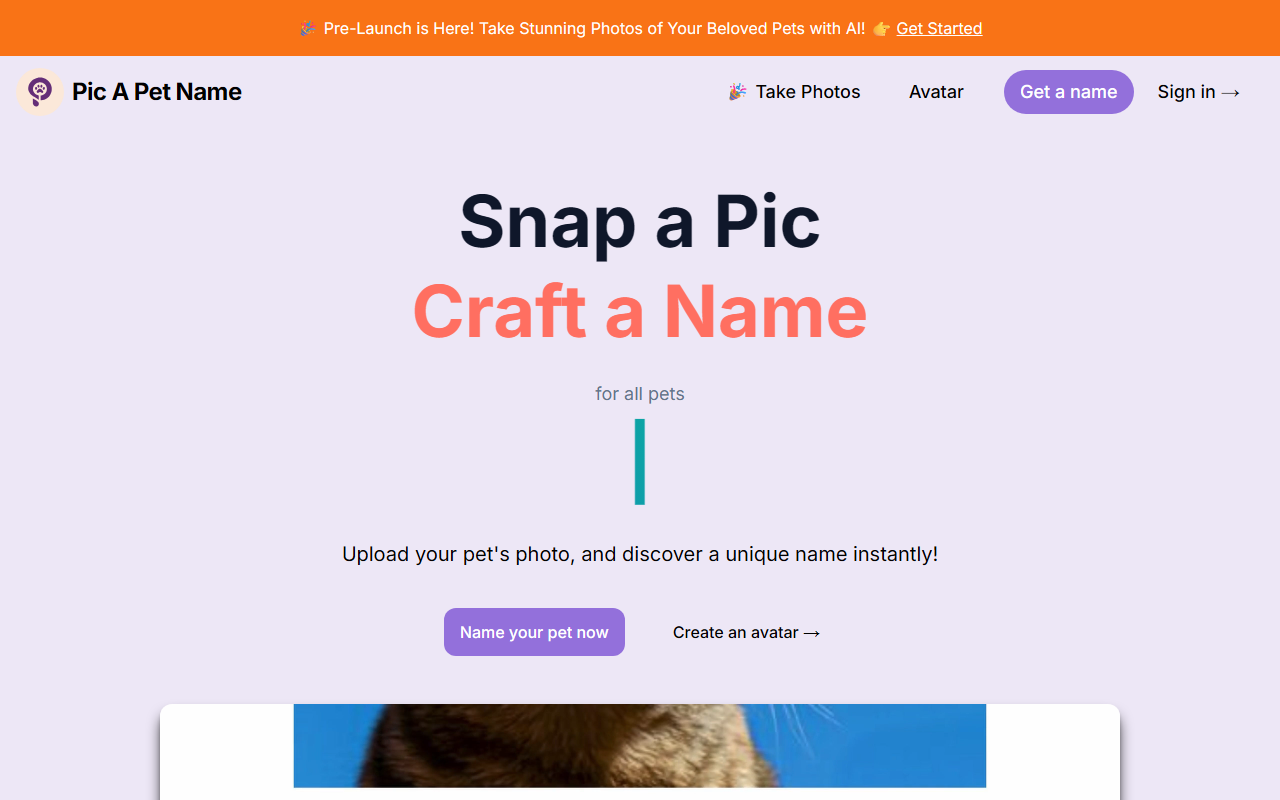 Pic A Pet Name screenshot