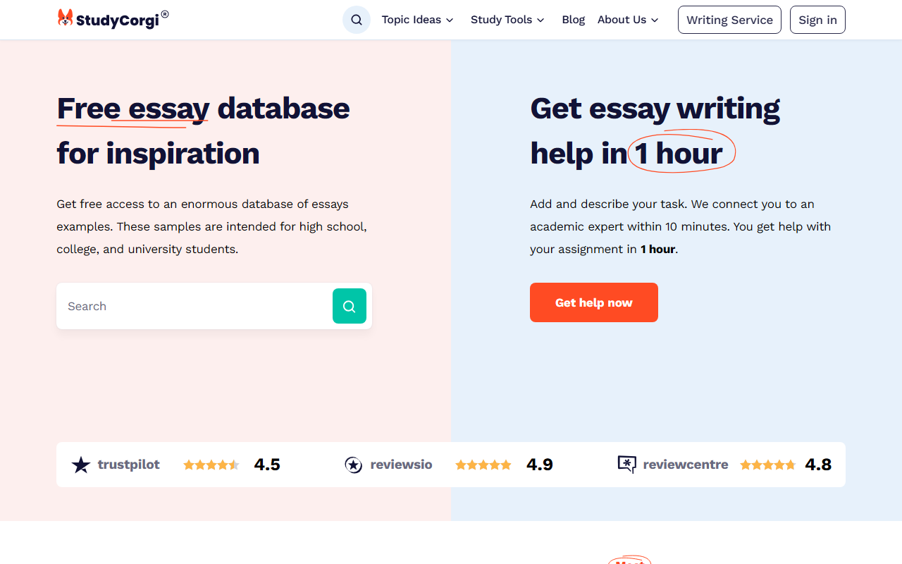 StudyCorgi screenshot