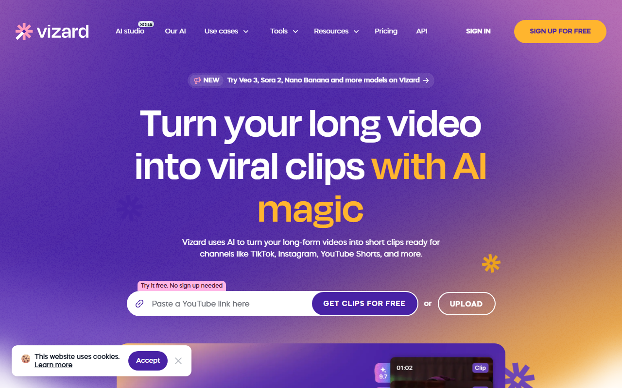 Vizard screenshot