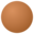 Brevoir