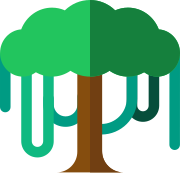 Canopy