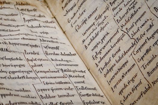 scientific manuscript